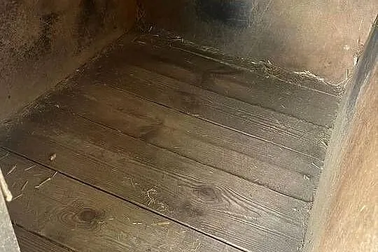 Sprzedam budę dla psa, Podkarpackie, Zaklików