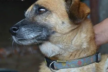 Nikt jej nie zauważa - Kora czeka już 9 długich la