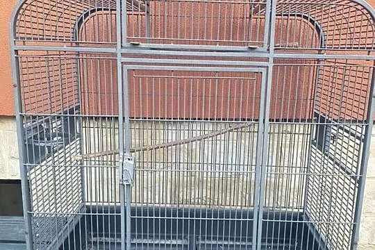 klatka dla ptaków, Mazowieckie, Stare Babice