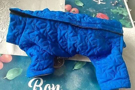 Kurtka zimowa dla psa