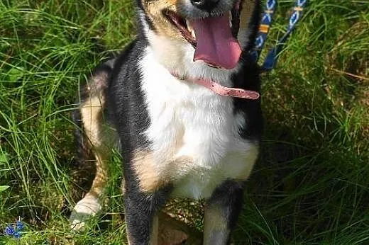 Naomi.Miłość to pasja!,  kujawsko-pomorskie Bydgos