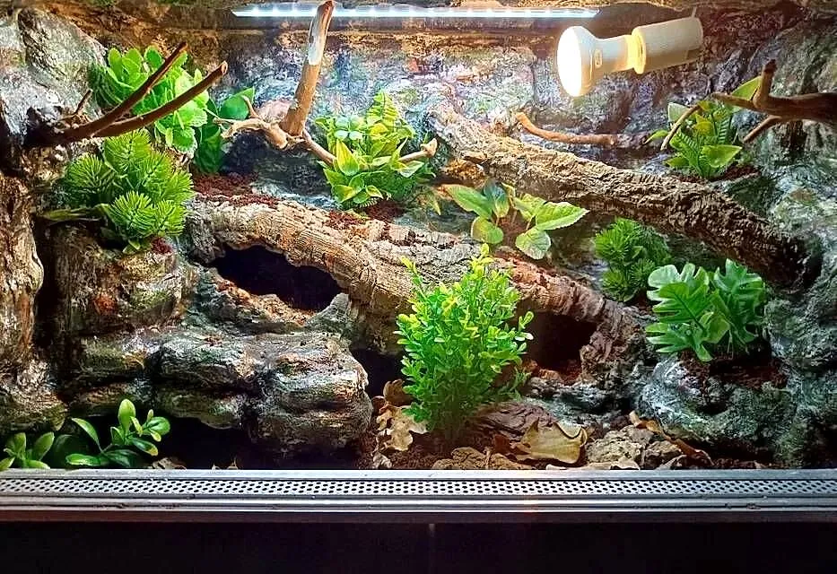 Terrarium tropikalne dla gekon 60x40x40, Wielkopolskie, Ostrów Wielkopolski