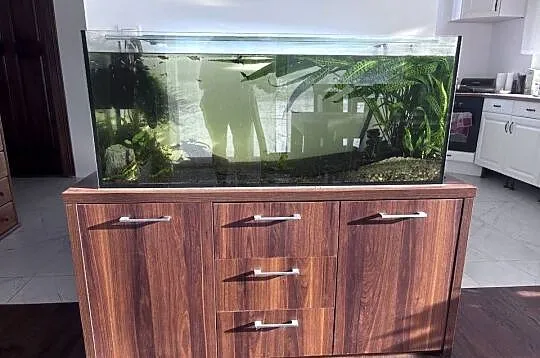Akwarium 240L cały zestaw