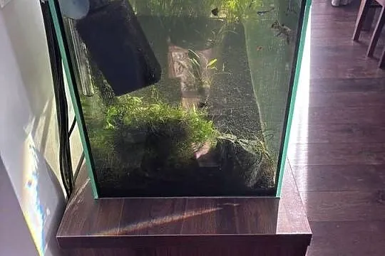 Akwarium 240L cały zestaw, Kujawsko-pomorskie, Bydgoszcz