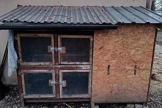 Sprzedam klatkę na króliki przerobioną na gęsi, Małopolskie, Wola Radłowska