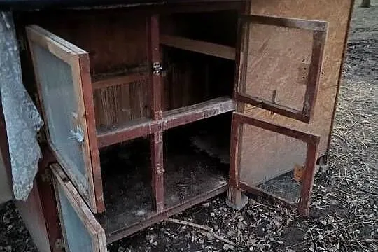 Sprzedam klatkę na króliki przerobioną na gęsi, Małopolskie, Wola Radłowska