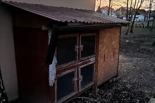 Sprzedam klatkę na króliki przerobioną na gęsi, Małopolskie, Wola Radłowska