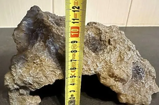 Nowa kryjówka dla płazów i gadów do terrarium, Zachodniopomorskie, Koszalin
