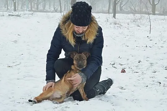 SZCZENIAKI, dwaj cudni chłopcy szukają domów!