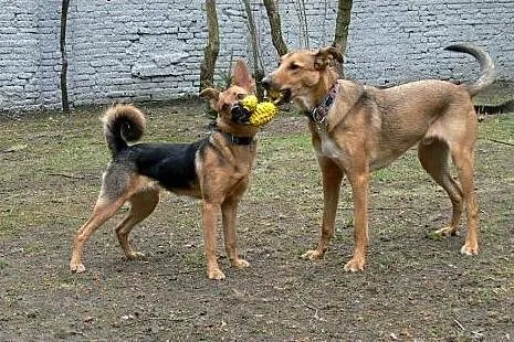 Hermiona - serduszko puka i na Ciebie czeka :),  m