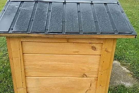 Buda dla średniego psa, Mazowieckie, Siedlce