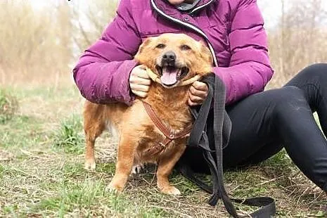 Rudzik &#8211; kolejna cierpiąca z samotności 