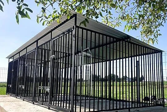 Kojec dla Psa 3w1 6x2m Klatka XXL 3 stanowiska ID572, Kujawsko-pomorskie, Włocławek