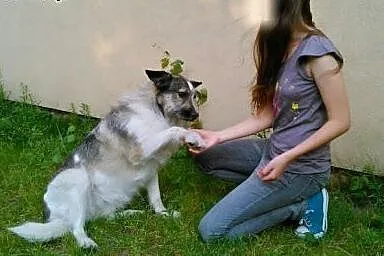 Igła - po raz kolejny na życiowym zakręcie,  mazow