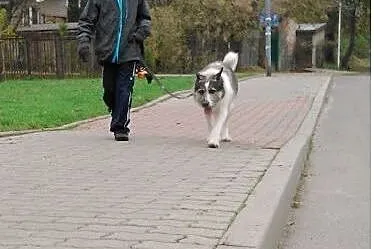 Igła - po raz kolejny na życiowym zakręcie,  mazow