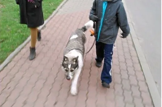 Igła - po raz kolejny na życiowym zakręcie,  mazow