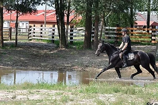 Jurand - stanówka, , 