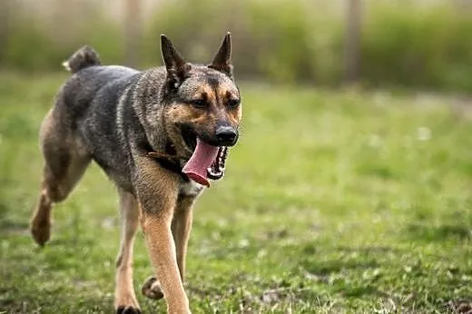 Kimba nie wie co to nuda,  mazowieckie Warszawa