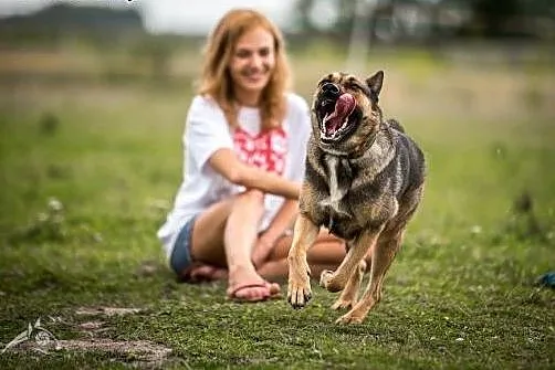 Kimba nie wie co to nuda,  mazowieckie Warszawa