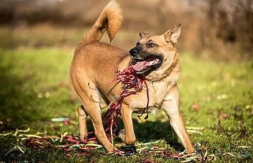 Lunes tak pięknie patrzy, że można w nim zakochać