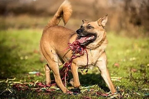 Lunes tak pięknie patrzy, że można w nim zakochać 
