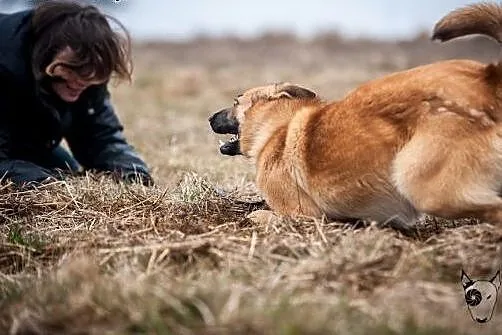 Lunes tak pięknie patrzy, że można w nim zakochać 