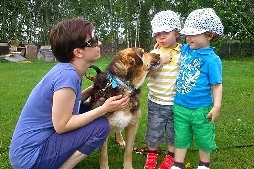 Pies lubiący lizać dziecięce rączki. Tęsknie wypat