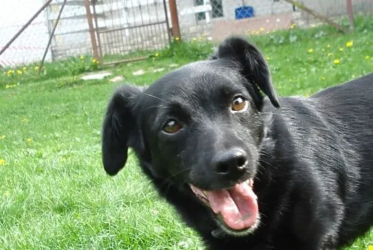 NELA - śmieszka :) Pomóż jej zaufać!