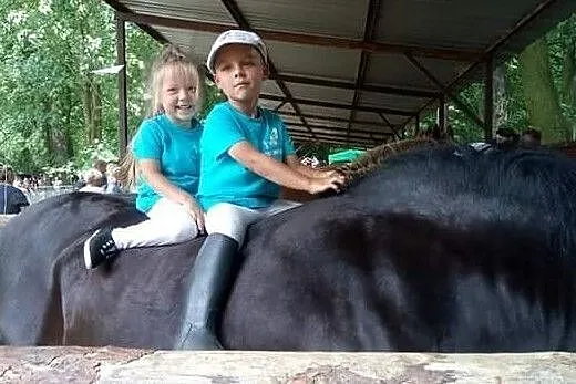 Kara klacz zimnokrwista Gaja 1. 2005r 80pkt, , Proszkowa