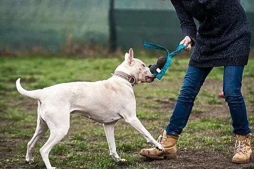 CLEO cud blondyna czeka na człowieka,  śląskie Kat