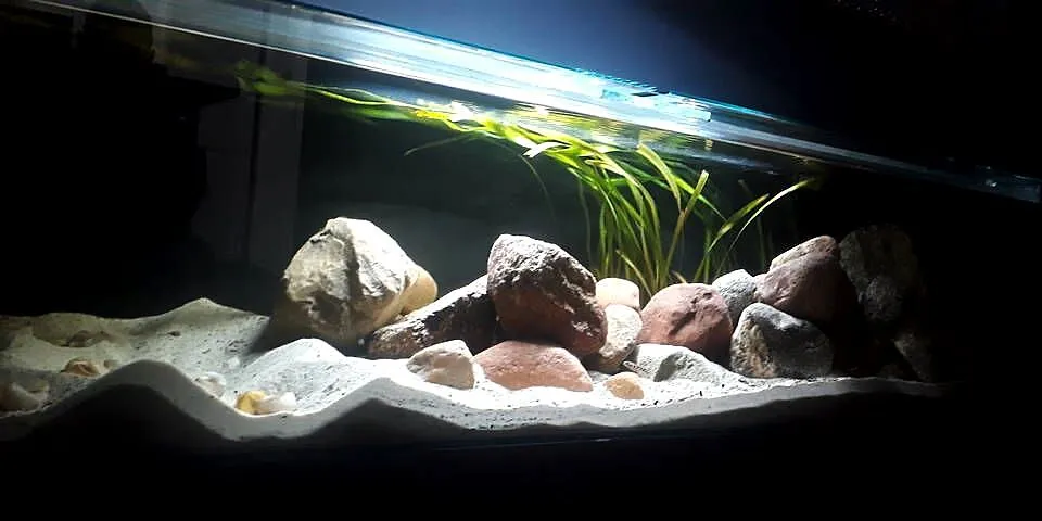 Piękne akwarium jamnik 300l, 170cm długości, szkło10mm, Lubelskie, Lublin