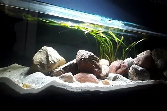 Piękne akwarium jamnik 300l, 170cm długości, szkło10mm, Lubelskie, Lublin