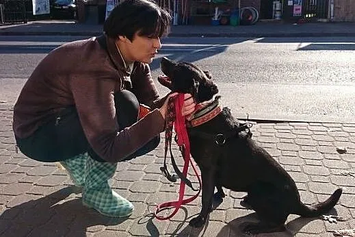 KAWA bardzo pilnie szuka rąk do głaskania!,  święt