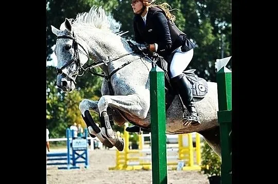 Klacz sport, rekreacja NA SPRZEDAŻ