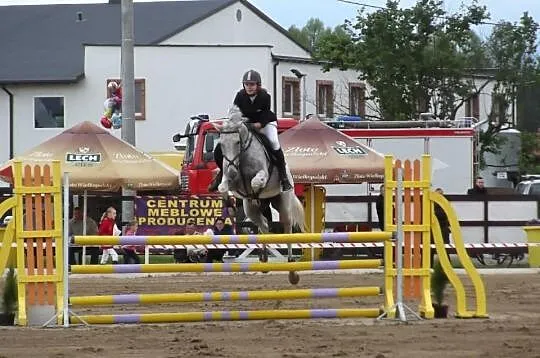 Klacz sport, rekreacja NA SPRZEDAŻ