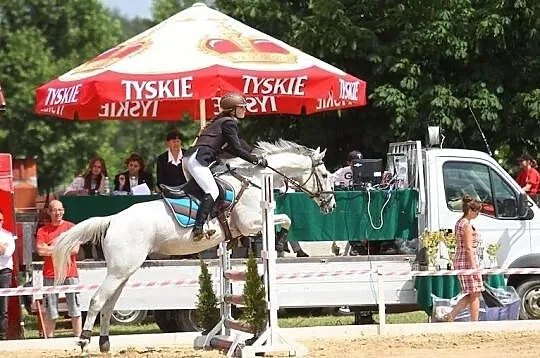 Klacz sport, rekreacja NA SPRZEDAŻ