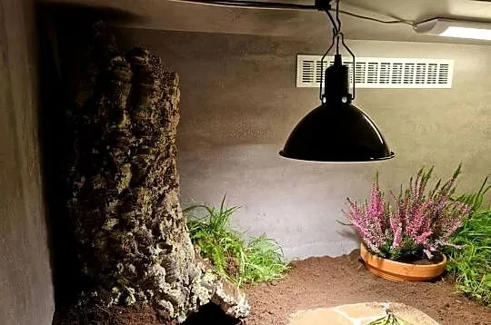Duże terraria z płyty meblowej  dwa rozmiary terrarium 2100x1200x700 /, Opolskie, Tarnów Opolski