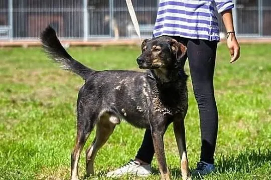 Zeus - naprawdę boski! :)