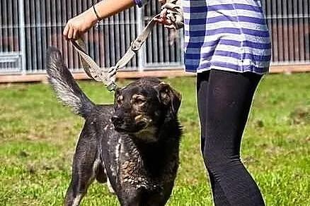 Zeus - naprawdę boski! :)
