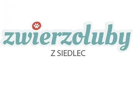 Borys - 9 miesięczny piesek do adopcji,  mazowieck