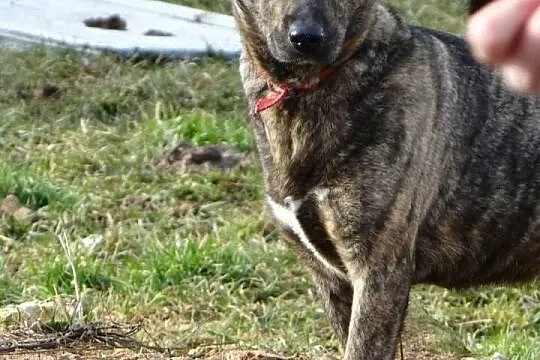 Oryginalnie umaszczona hienka prosi o ludzia :D