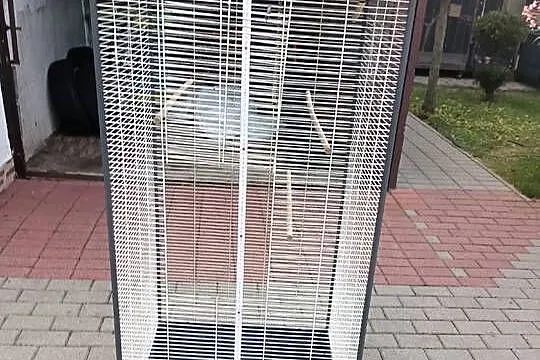 Sprzedam klatkę dla papug, Wielkopolskie, Września