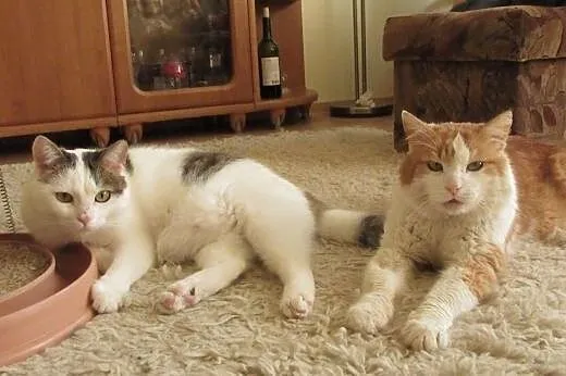Kefirek ożywi Twoją codzienność !,  mazowieckie Wa