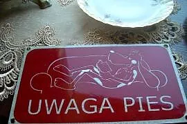 Nowy szyld Uwaga zły pies