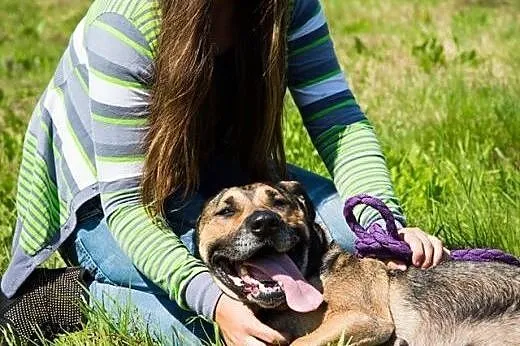 Wyjątkowa Diana szuka domu!,  dolnośląskie Jelenia