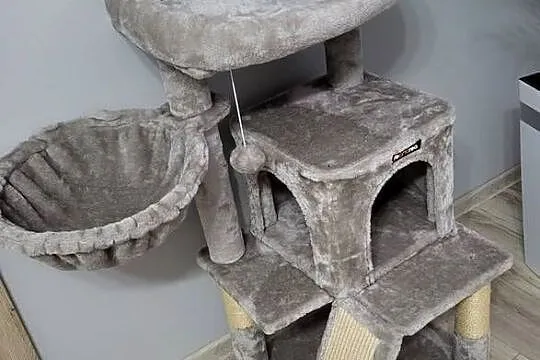 Drapak dla kota Feandrea NOWY Plusz, Świętokrzyskie, Włoszczowa