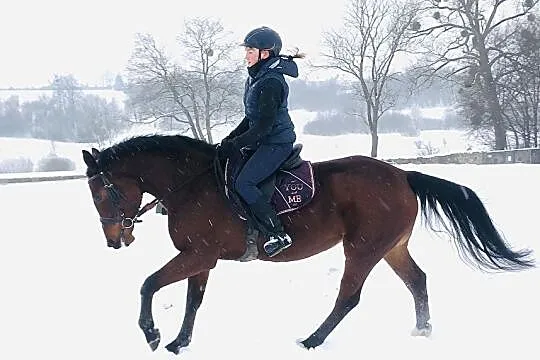 Grzeczna klacz do sportu lub ambitnej rekreacji, , 