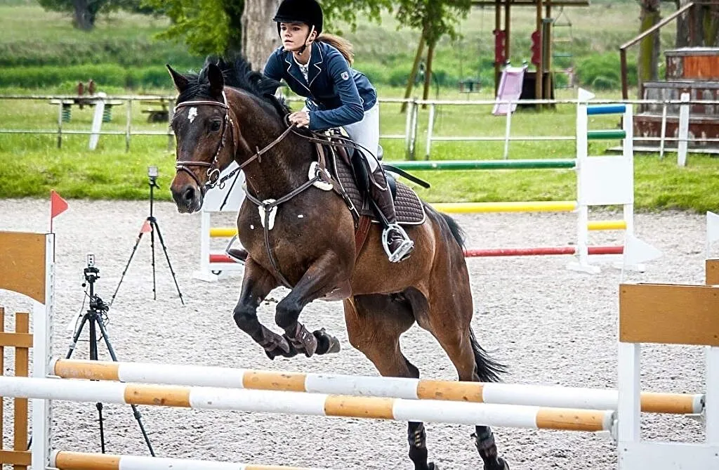 Przyjmę Trening Koni, ,