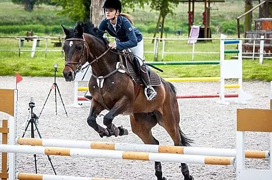 Przyjmę Trening Koni, , 