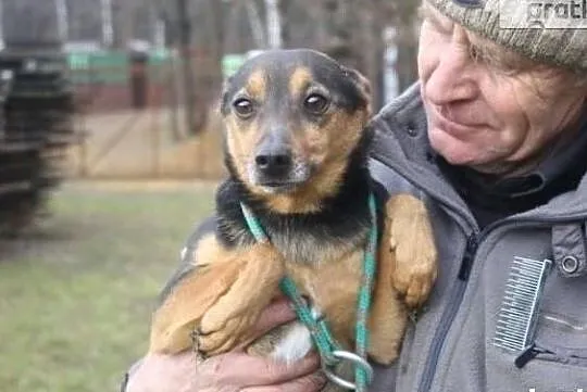 Nie chce spędzić życia w schronisku ocal mnie adoptuj